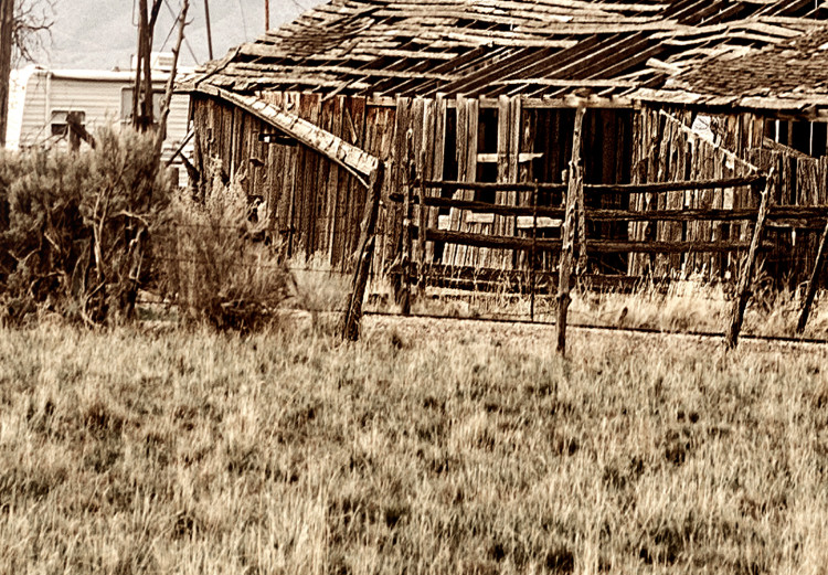 Poster Abandoned Ranch - rural landscape overlooking a wooden house 137689 additionalImage 6