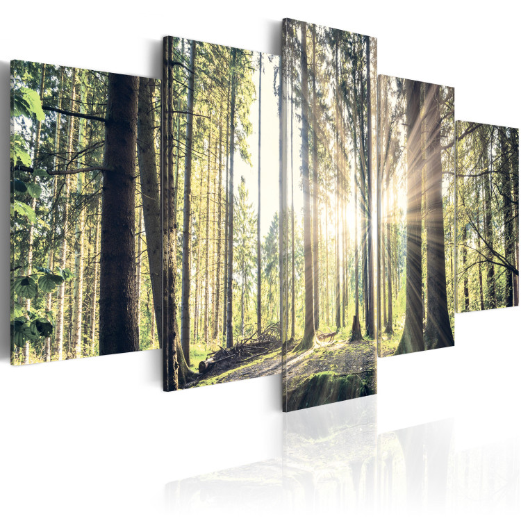Canvas Print Forest Temple 88989 additionalImage 2