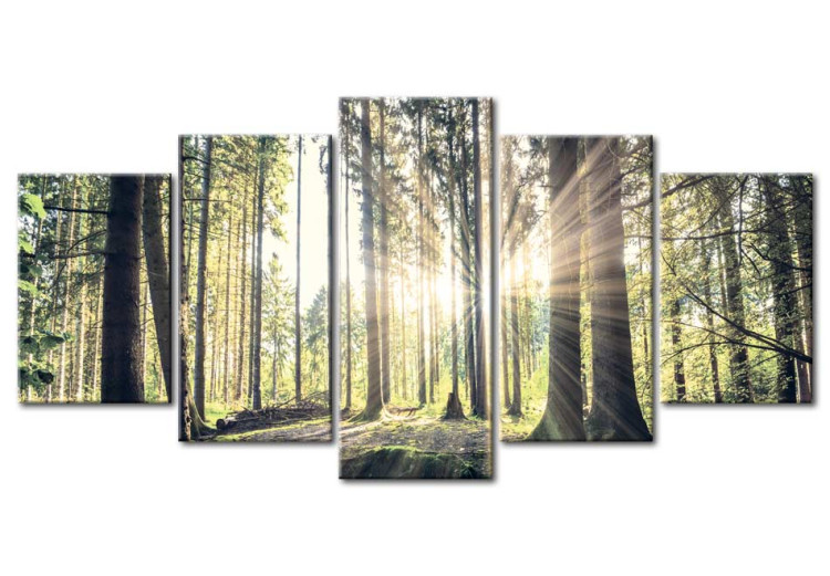 Canvas Print Forest Temple 88989