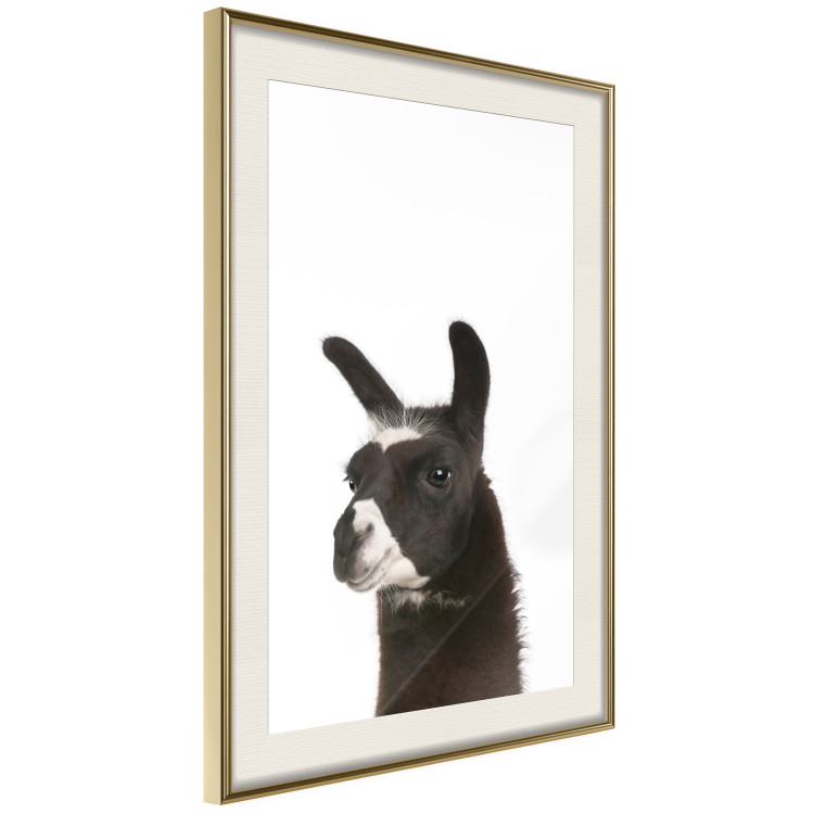 Poster Llama - composition for children with a black and white furry animal 114399 additionalImage 2
