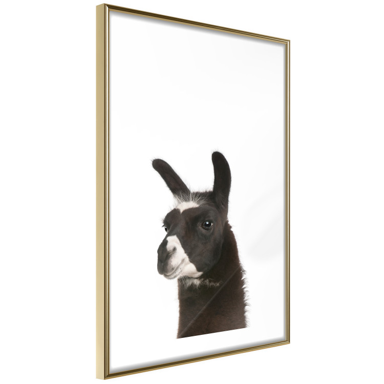 Poster Llama - composition for children with a black and white furry animal 114399 additionalImage 8