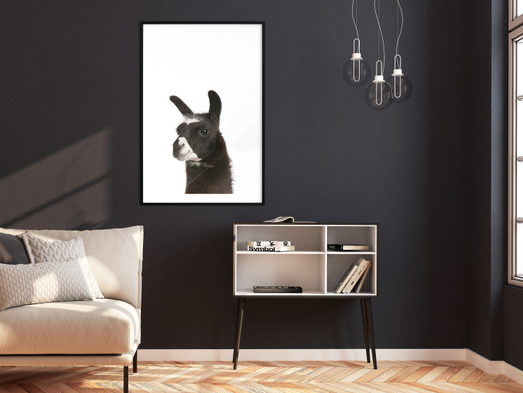 Poster Llama - composition for children with a black and white furry animal 114399 additionalImage 6
