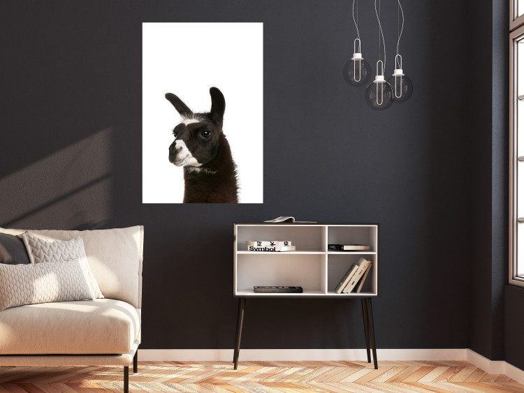 Poster Llama - composition for children with a black and white furry animal 114399 additionalImage 17