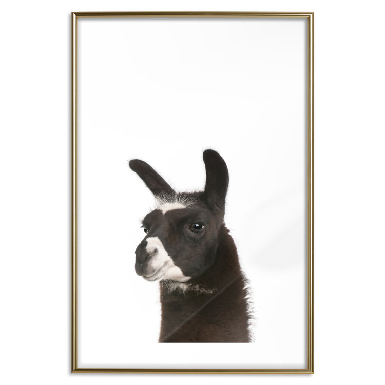 Poster Llama - composition for children with a black and white furry animal 114399 additionalImage 14