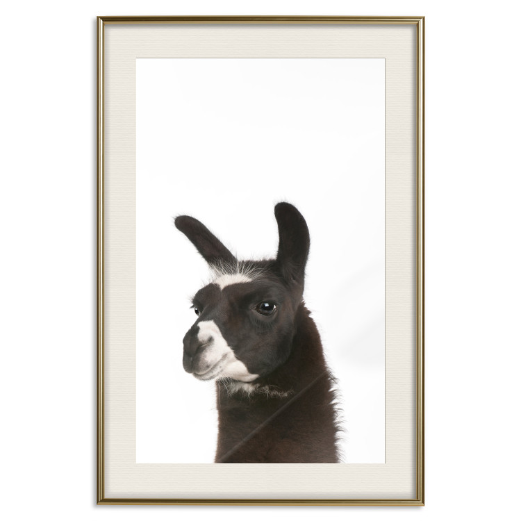 Poster Llama - composition for children with a black and white furry animal 114399 additionalImage 19