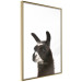 Poster Llama - composition for children with a black and white furry animal 114399 additionalThumb 14