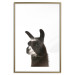 Poster Llama - composition for children with a black and white furry animal 114399 additionalThumb 16