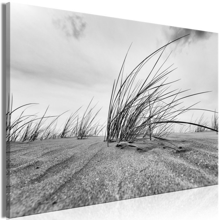 Canvas Print Sandy Plants (1-part) - Sky and Beach in a Nautical View 114899 additionalImage 2