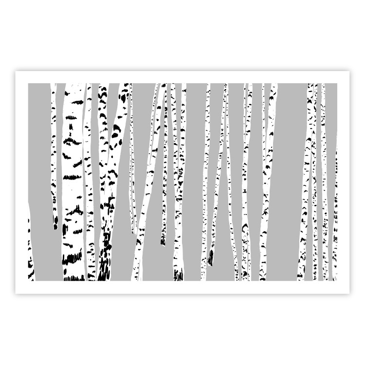 Wall Poster Birches - composition with black and white trees on a grey background 115099