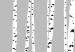 Wall Poster Birches - composition with black and white trees on a grey background 115099 additionalThumb 9