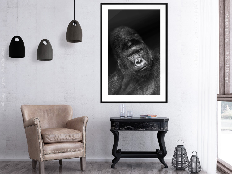 Wall Poster Mountain Gorilla - black and white composition with a portrait of an African ape 116499 additionalImage 5