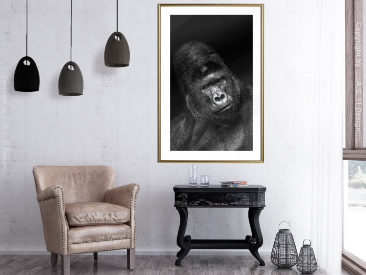 Wall Poster Mountain Gorilla - black and white composition with a portrait of an African ape 116499 additionalImage 13