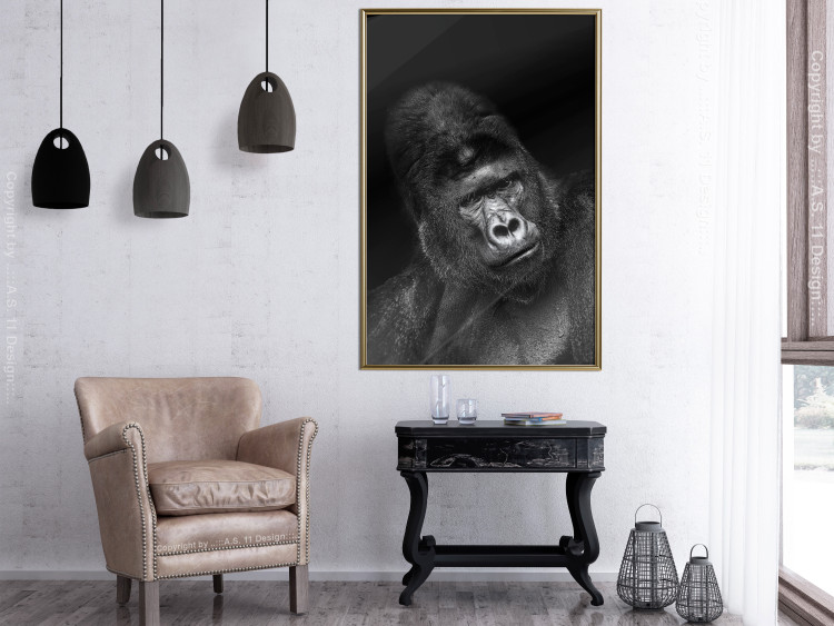 Wall Poster Mountain Gorilla - black and white composition with a portrait of an African ape 116499 additionalImage 6