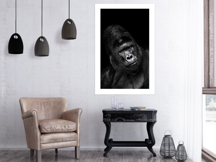 Wall Poster Mountain Gorilla - black and white composition with a portrait of an African ape 116499 additionalImage 4