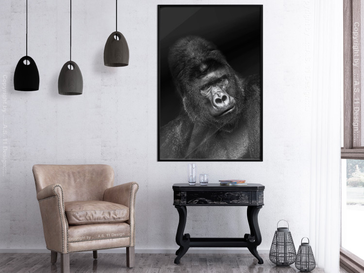 Wall Poster Mountain Gorilla - black and white composition with a portrait of an African ape 116499 additionalImage 7