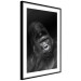 Wall Poster Mountain Gorilla - black and white composition with a portrait of an African ape 116499 additionalThumb 12