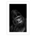 Wall Poster Mountain Gorilla - black and white composition with a portrait of an African ape 116499 additionalThumb 19