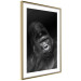 Wall Poster Mountain Gorilla - black and white composition with a portrait of an African ape 116499 additionalThumb 8
