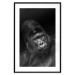 Wall Poster Mountain Gorilla - black and white composition with a portrait of an African ape 116499 additionalThumb 15