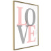 Wall Poster Gray Love - black and red blurred letters in an English text 122899 additionalThumb 6