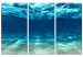 Canvas Ocean Glow (3-part) - underwater marine world landscape 128799
