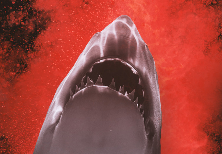 Wall Poster King of the Oceans - abstract shark amidst redness on a black background 129799 additionalImage 10