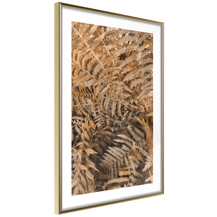 Wall Poster Mysterious Fern - natural composition of plants with brown leaves 130799 additionalImage 9