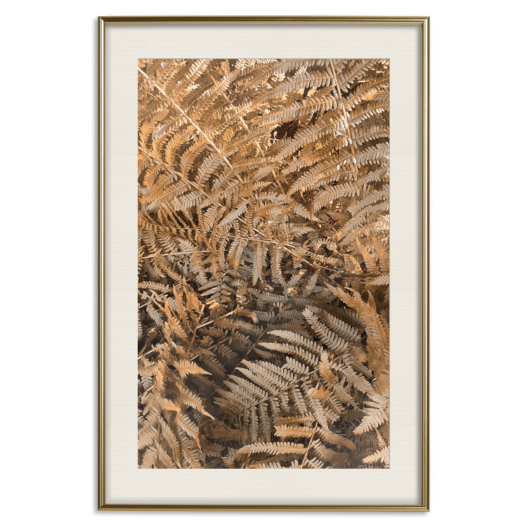 Wall Poster Mysterious Fern - natural composition of plants with brown leaves 130799 additionalImage 20