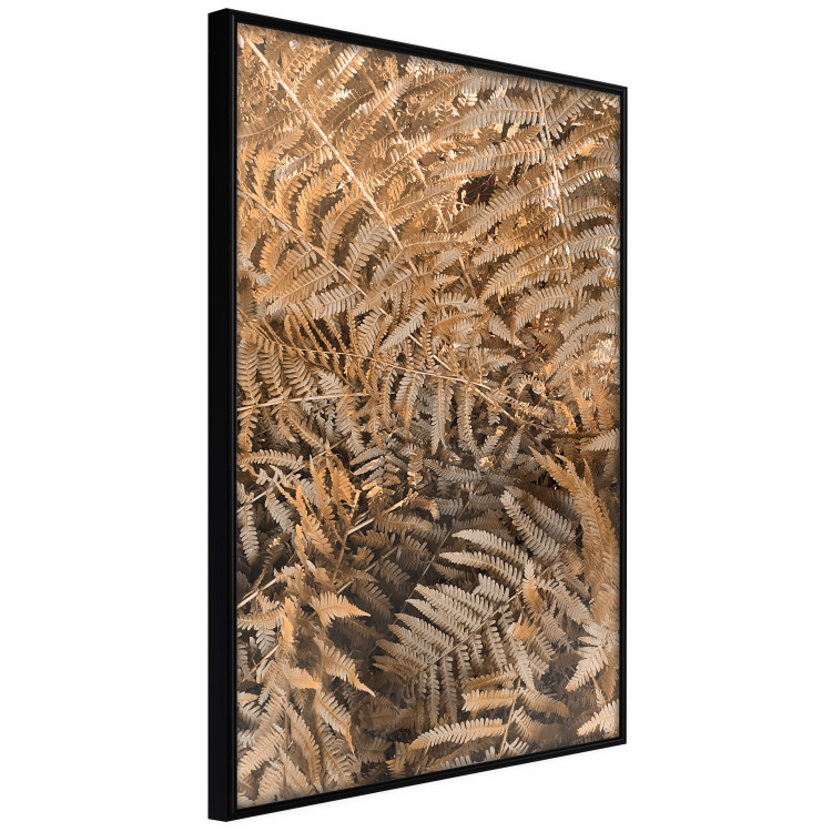 Wall Poster Mysterious Fern - natural composition of plants with brown leaves 130799 additionalImage 13