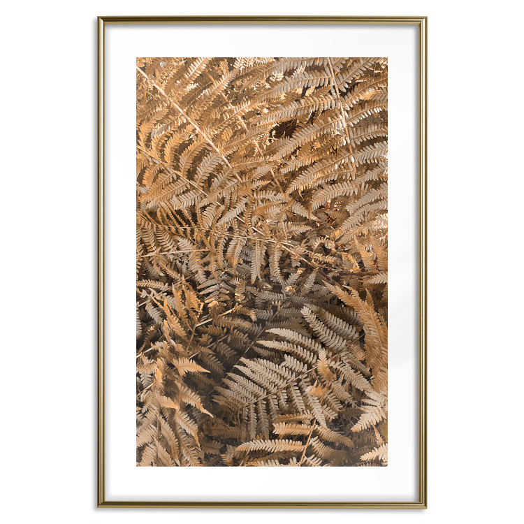 Wall Poster Mysterious Fern - natural composition of plants with brown leaves 130799 additionalImage 14