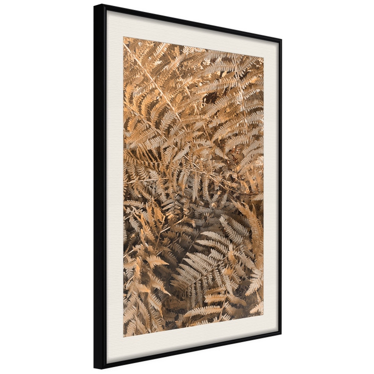 Wall Poster Mysterious Fern - natural composition of plants with brown leaves 130799 additionalImage 2
