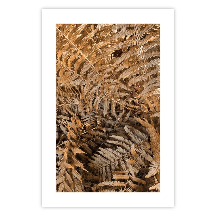 Wall Poster Mysterious Fern - natural composition of plants with brown leaves 130799 additionalImage 19
