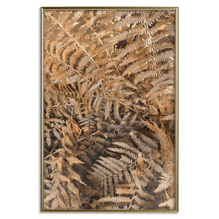 Wall Poster Mysterious Fern - natural composition of plants with brown leaves 130799 additionalImage 17