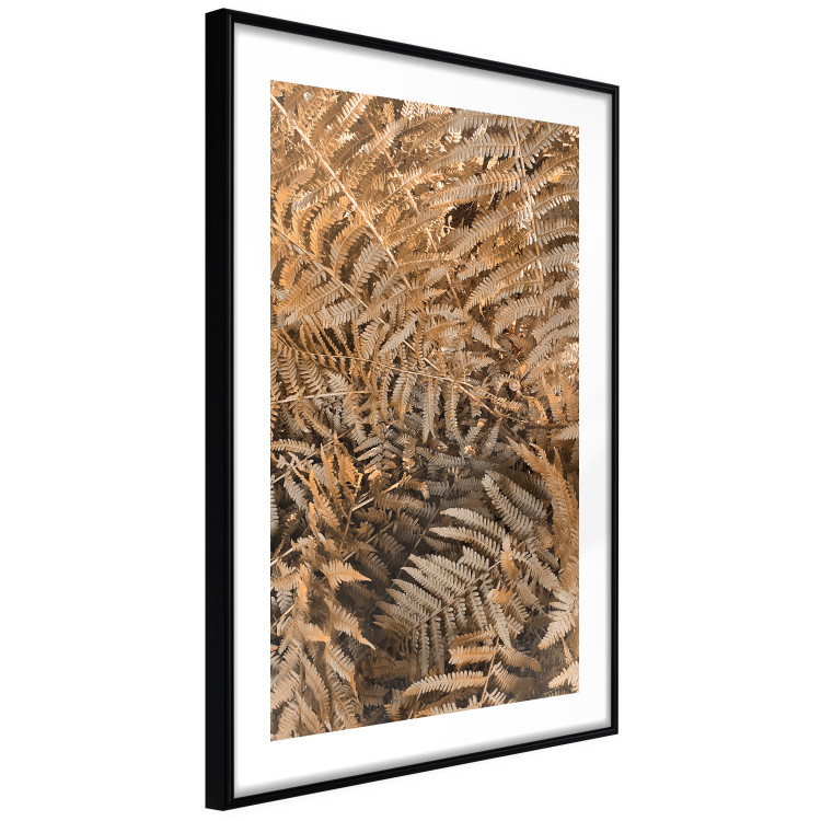 Wall Poster Mysterious Fern - natural composition of plants with brown leaves 130799 additionalImage 6