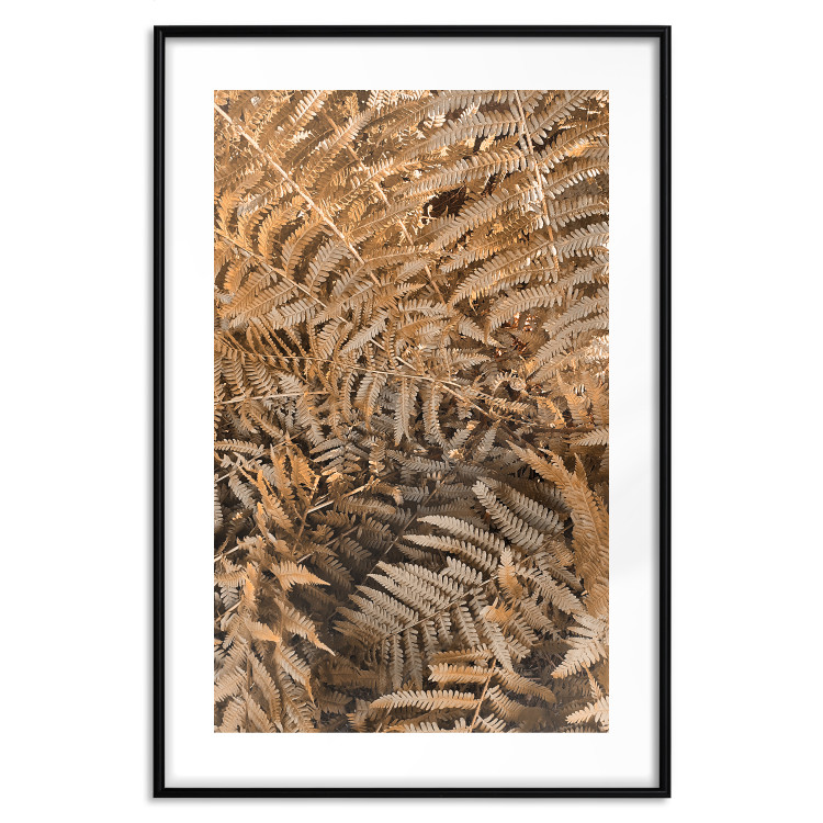 Wall Poster Mysterious Fern - natural composition of plants with brown leaves 130799 additionalImage 15