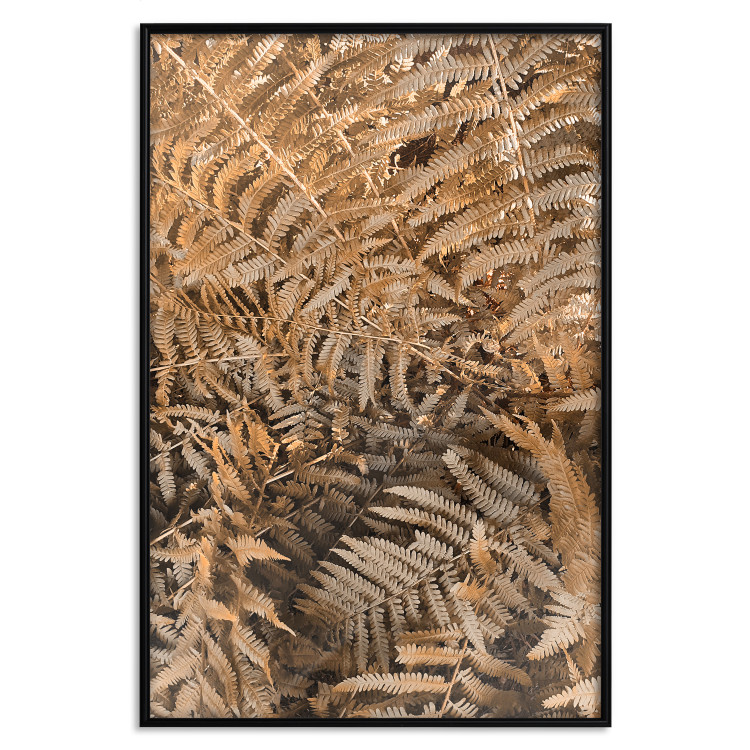 Wall Poster Mysterious Fern - natural composition of plants with brown leaves 130799 additionalImage 18