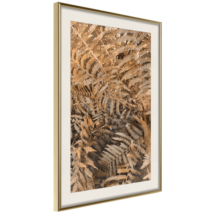 Wall Poster Mysterious Fern - natural composition of plants with brown leaves 130799 additionalImage 3