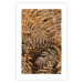 Wall Poster Mysterious Fern - natural composition of plants with brown leaves 130799 additionalThumb 19
