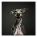 Canvas Art Print AI Greyhound Dog - Portrait of a Wide Smiling Animal - Square 150199