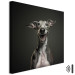 Canvas Art Print AI Greyhound Dog - Portrait of a Wide Smiling Animal - Square 150199 additionalThumb 8