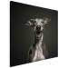 Canvas Art Print AI Greyhound Dog - Portrait of a Wide Smiling Animal - Square 150199 additionalThumb 2