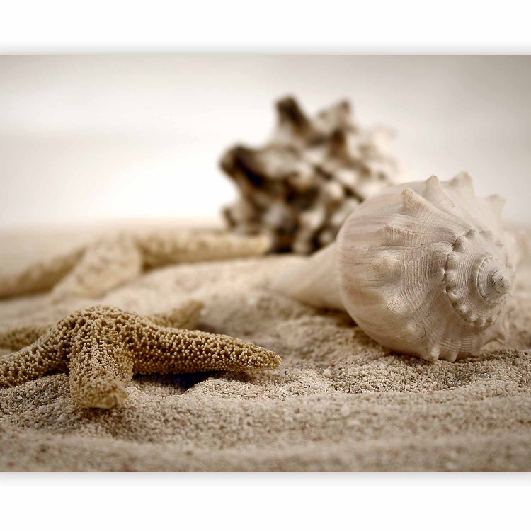 Photo Wallpaper Gifts of the Sea - Landscape with Seashells and Starfish on a Sandy Beach 61599 additionalImage 1