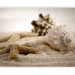 Photo Wallpaper Gifts of the Sea - Landscape with Seashells and Starfish on a Sandy Beach 61599 additionalThumb 1